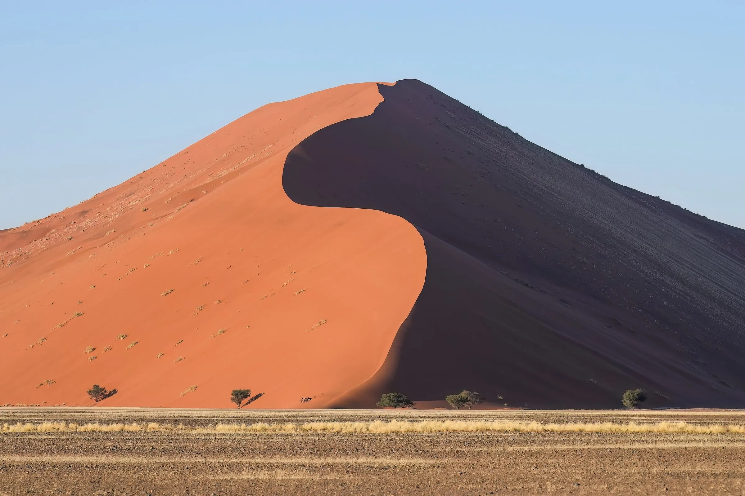 La dune 45 de Sossusvlei, en Namibie, mi-orange mi-ombre au lever du soleil