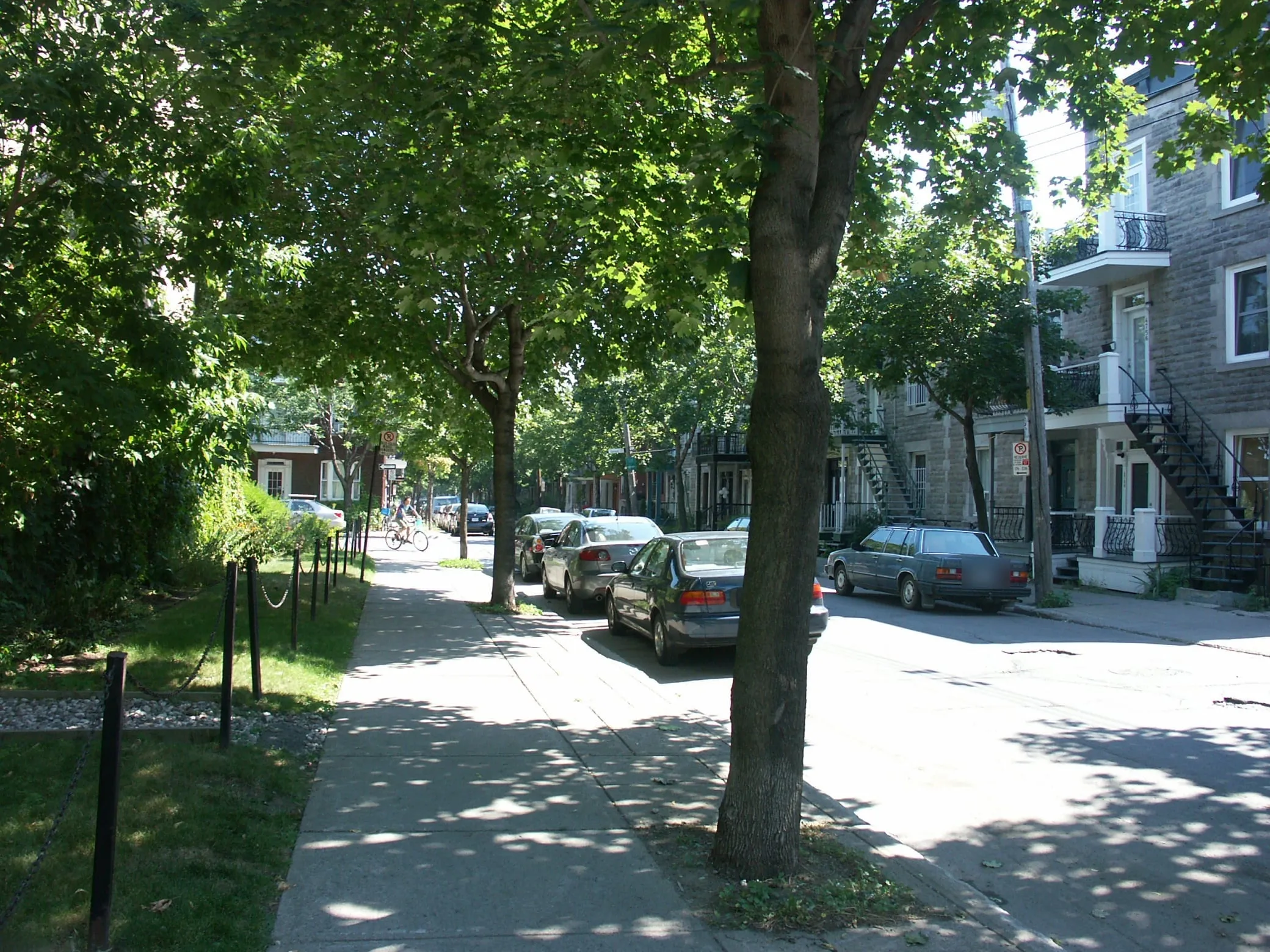 Rue résidentielle arborée du Plateau-Mont-Royal à Montréal, avec ses escaliers extérieurs en fer